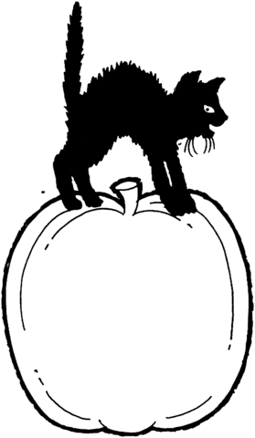 Coloring book of black cat on a large pumpkin in Halloween